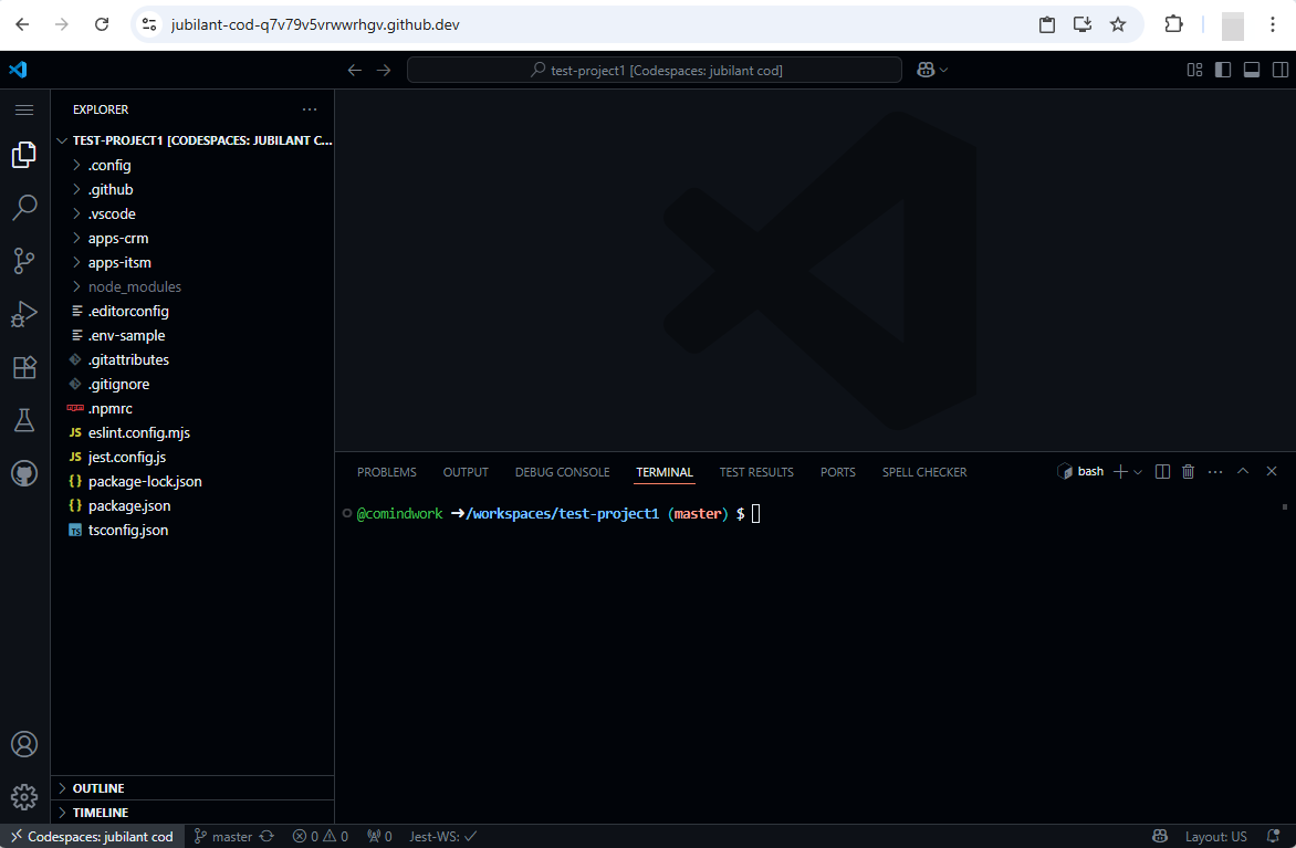 GitHub Codespaces VS Code interface
